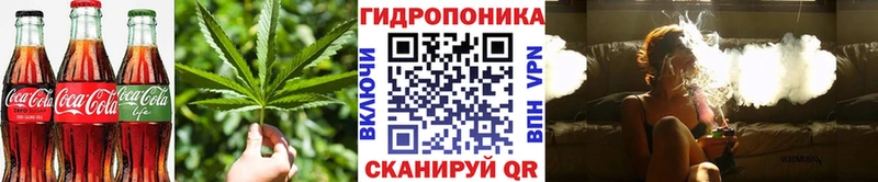 Canna-Cookies марихуана OMG онион Аксай