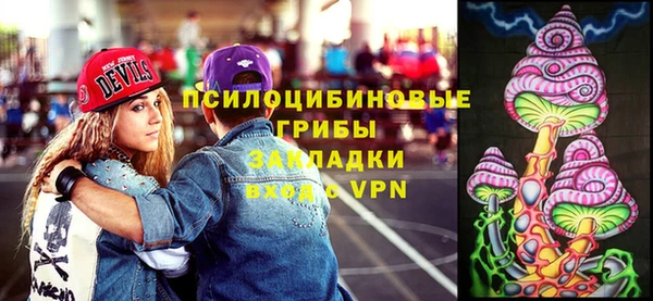 дмт Абаза