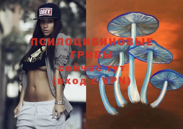 дмт Абаза