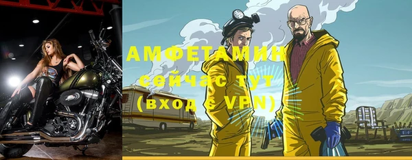 дмт Абаза