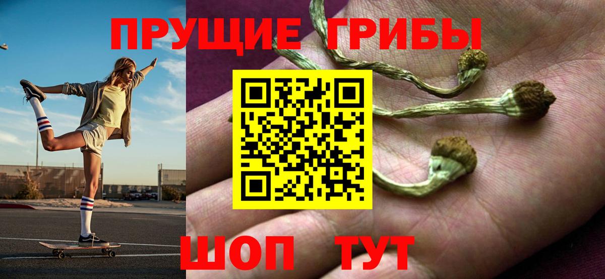 где купить   Вход с VPN  Аксай  Псилоцибиновые грибы Psilocybe 